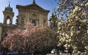 i 7 immobili più richiesti in zona Ariosto/Magenta a Milano